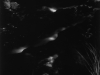 LS2015-Schneider_Kimberly_3 LS2015-Schneider_Kimberly_3