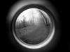 LS2015-Siple_HeatherJM_1 LS2015-Siple_HeatherJM_1