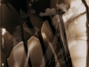 LS2015-Trennert_Shari_2 LS2015-Trennert_Shari_2