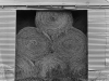 LS2015-Ullrich_Fred W_3 LS2015-Ullrich_Fred W_3