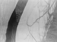 LS2016-Augustin_Philip_1