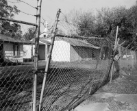 LS2016-Berger_Susan_1