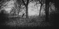 LS2016-Vaccaro_Bill_2