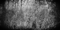 LS2016-Vaccaro_Bill_5