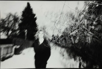 LS2016-Walters_Curt_5