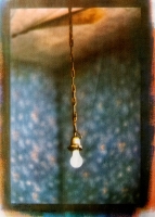 bloomfield_diana_5 bloomfield_diana_5