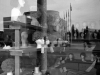 Berger_Susan_7_2 Berger_Susan_7_2