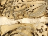 Collins_Douglas_1 Collins_Douglas_1