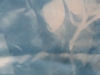 Curley_Sarah_2 Curley_Sarah_2