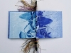 Bloomfield, Diana Bloomfield, Diana