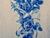 Bloomfield, Diana Bloomfield, Diana