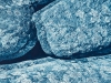 Davens_Susan_2 Davens_Susan_2