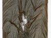 Nation_Mary_1 Nation_Mary_1