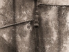Pope_Roy_1 Pope_Roy_1