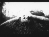 Rio_Dale_2 Rio_Dale_2