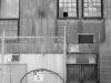 Schwartz_Philip_4 Schwartz_Philip_4