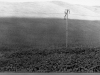 Woodruff_Lon_2 Woodruff_Lon_2