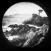 LS-2021-Barnes_Allan_1