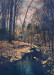 LS-2021-Bloomfield_Diana_1