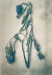 LS-2021-Bloomfield_Diana_4