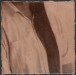 LS-2021-Celentano_Tony_1