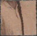 LS-2021-Celentano_Tony_5