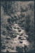 LS-2021-Connors_Matt_3.jpg