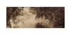 LS-2021-Constantine_Wendy_2