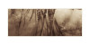 LS-2021-Constantine_Wendy_3