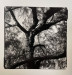 LS-2021-Fallender_Suzanne_3