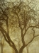 LS-2021-Gould_Hal_2