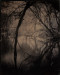 LS-2021-Lovell_Travis_4