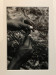 LS-2021-Nowitz_Marcelle_1