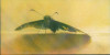 LS-2021-Tarara_Theresa_2