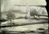 LS-2021-Zeiss_Rebecca_1