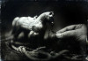 LS-2021-Zeiss_Rebecca_3