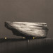 LS-2021-Zhavoronkova_Yelena_2
