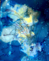 Phyllis Schwartz