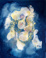 Phyllis Schwartz