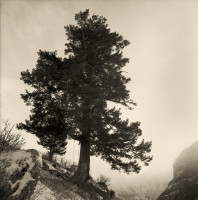 John Wagner