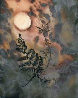 Angela Franks Wells