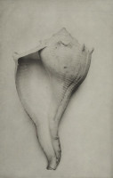 Jeanne Wells