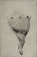 Jeanne Wells