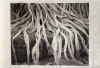 LS24-Corbin_Kent_5 LS24-Corbin_Kent_5