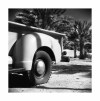 LS24-McFarland_Shaun_2 LS24-McFarland_Shaun_2