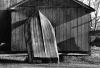 LS24-Pohl_Howard_4 LS24-Pohl_Howard_4