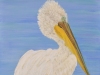Sue Eddy