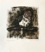 Atrosic_Amanda_1_ Atrosic_Amanda_1_