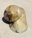 Paulausky_Chuck_2_ Paulausky_Chuck_2_
