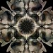 Wright_Margaret_1_ Wright_Margaret_1_